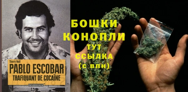 прущие крисы Белокуриха