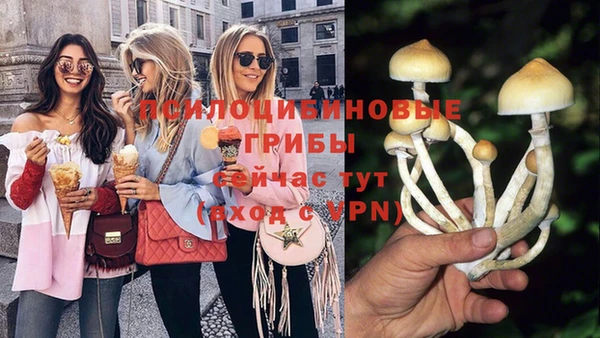 ECSTASY Богородск