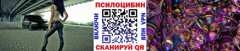 где можно купить Магас Галлюциногенные грибы GOLDEN TEACHER